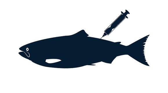 Salmon-Society-of-Genes